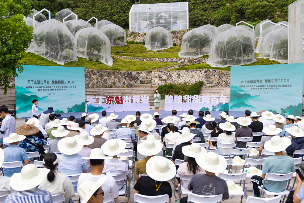 活動現場。王敏智攝