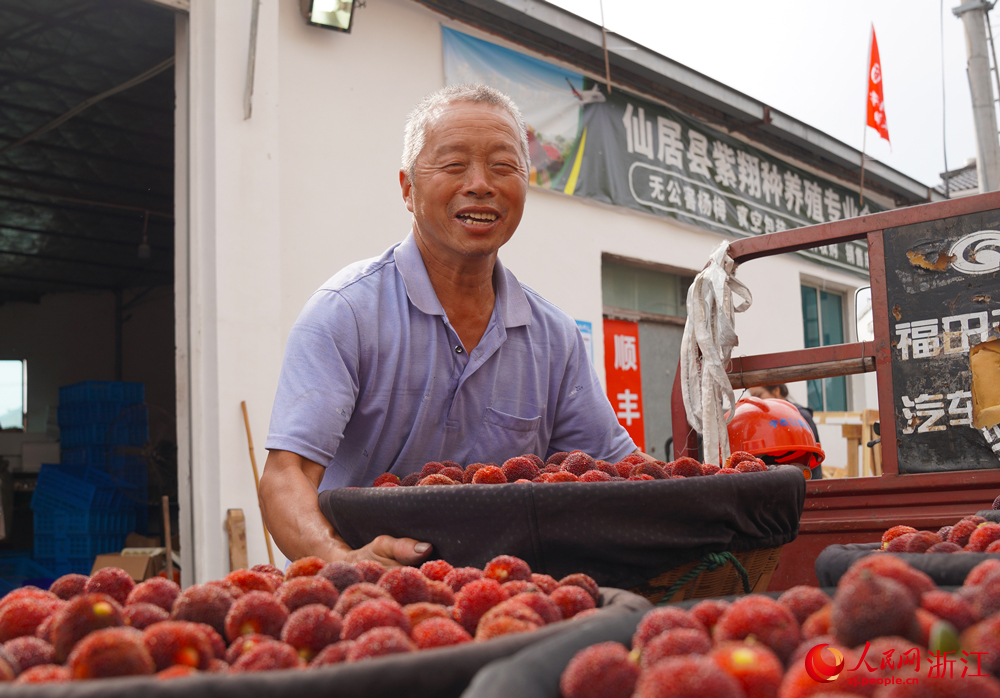 梅農正將剛采摘下的楊梅進行精細分揀與預冷處理。人民網 劉欣蔚攝