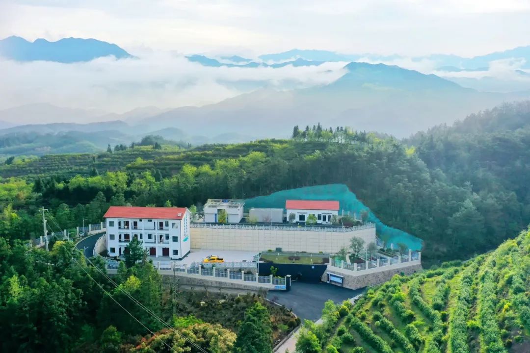 浙江發布十大案例，遂昌入選