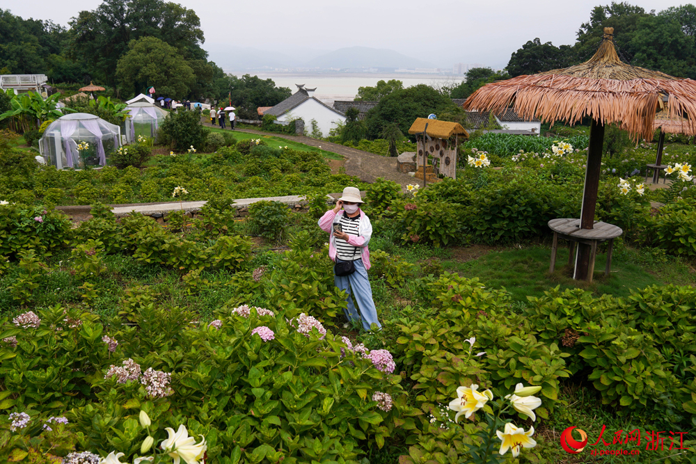 6月24日，寧波市寧?？h強蛟鎮駱家坑村，眾多市民和游客前來打卡游玩。該村以“藝術+賞花游”為切入口，深耕鄉村旅游，走出了一條“以花興旅、以旅富農”的鄉村振興新路徑。人民網 章勇濤攝