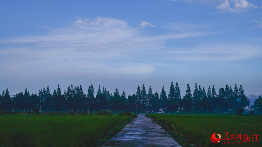 走馬塘村一隅。人民網記者 郭揚攝
