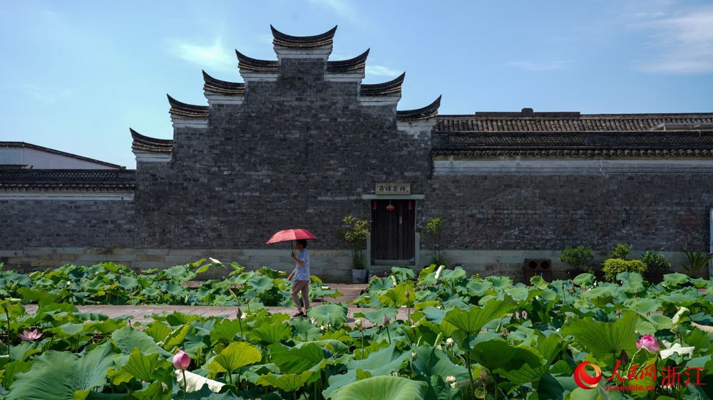 村民經過荷塘。人民網 劉欣蔚攝