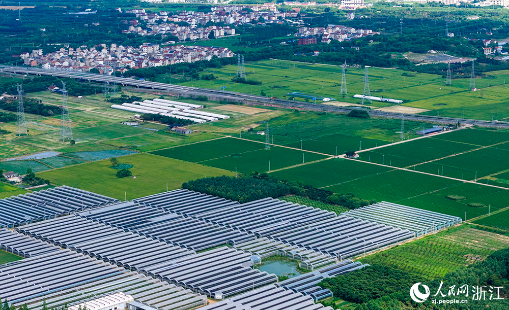 近日，在浙江省嵊州市甘霖鎮，成片的高標準農田排列整齊，與青山、村落、村道等交相輝映，勾勒出一幅美麗的田園風光畫卷。人民網 章勇濤攝