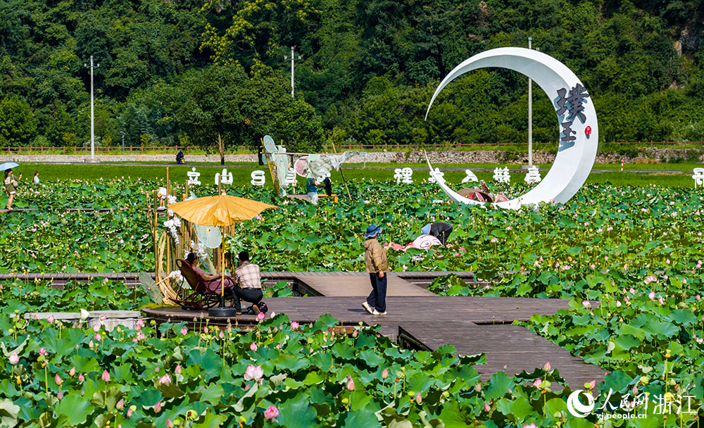近日，浙江省嵊州市貴門鄉璞玉村的荷花競相綻放。人民網 章勇濤攝