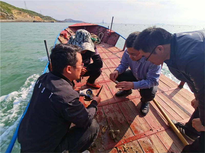 3.“希望之光”組合式幫扶團專家海上檢查牡蠣長勢