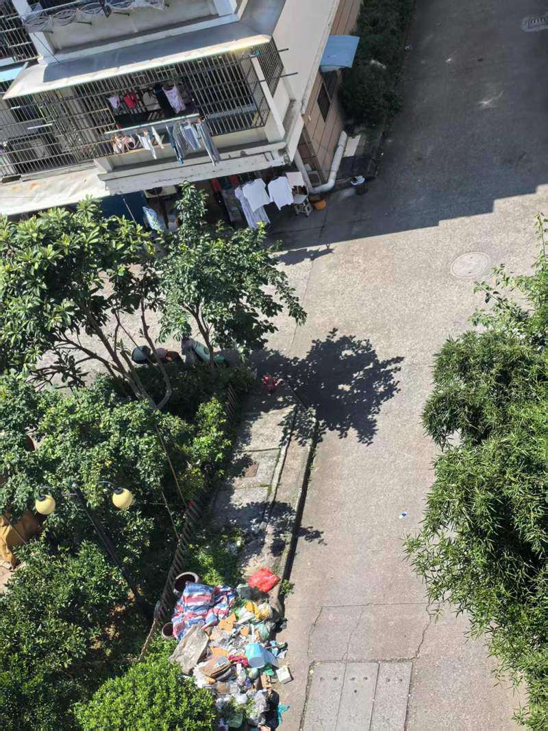 紹興市越城區世禾新村31幢與32幢附近垃圾桶點。受訪者供圖