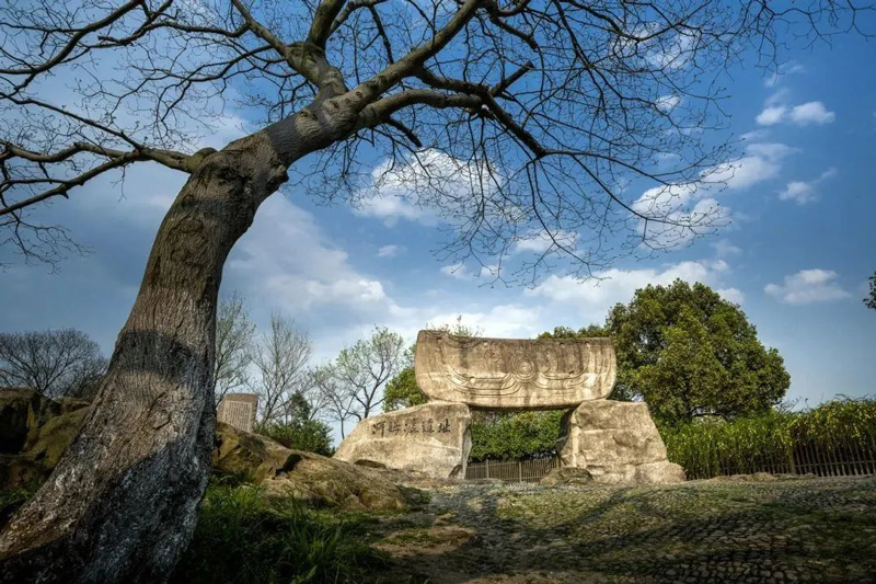 河姆渡遺址。余姚市委宣傳部供圖