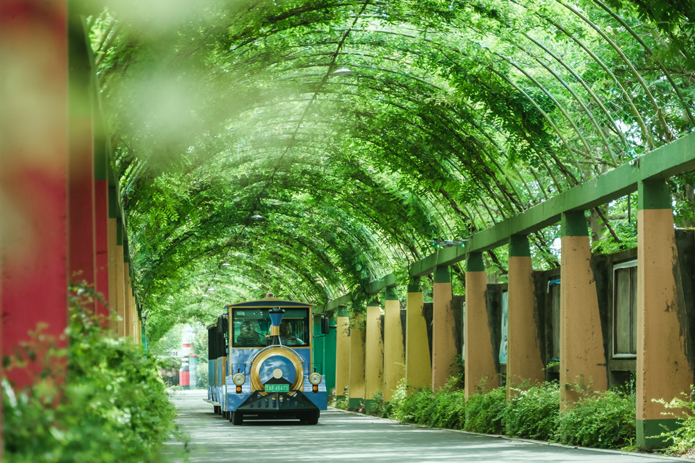 游客們乘坐小火車游覽花園。嘉善縣委宣傳部供圖