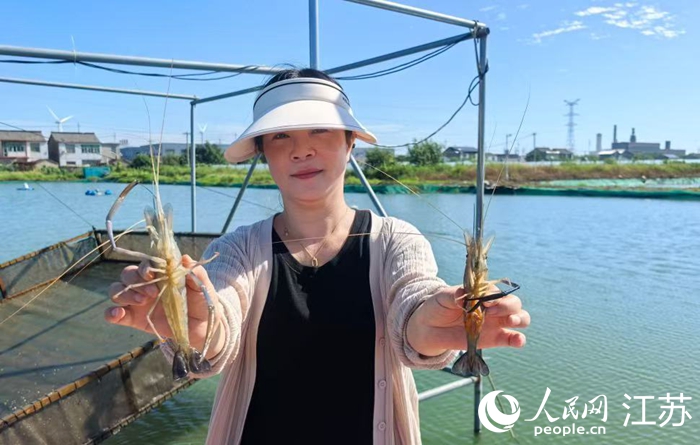 新鮮捕撈的高郵大蝦。人民網 杜沁萌攝