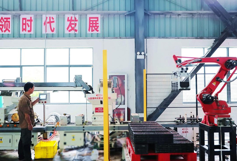 自動化育秧流水線運行場景。遂昌縣委宣傳部供圖