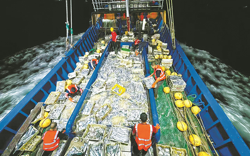 漁獲滿艙！第一網來了