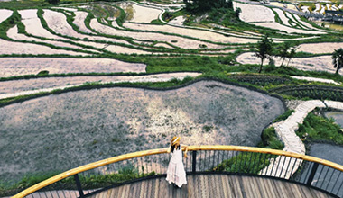麗水龍泉“組團運營”帶火鄉村游