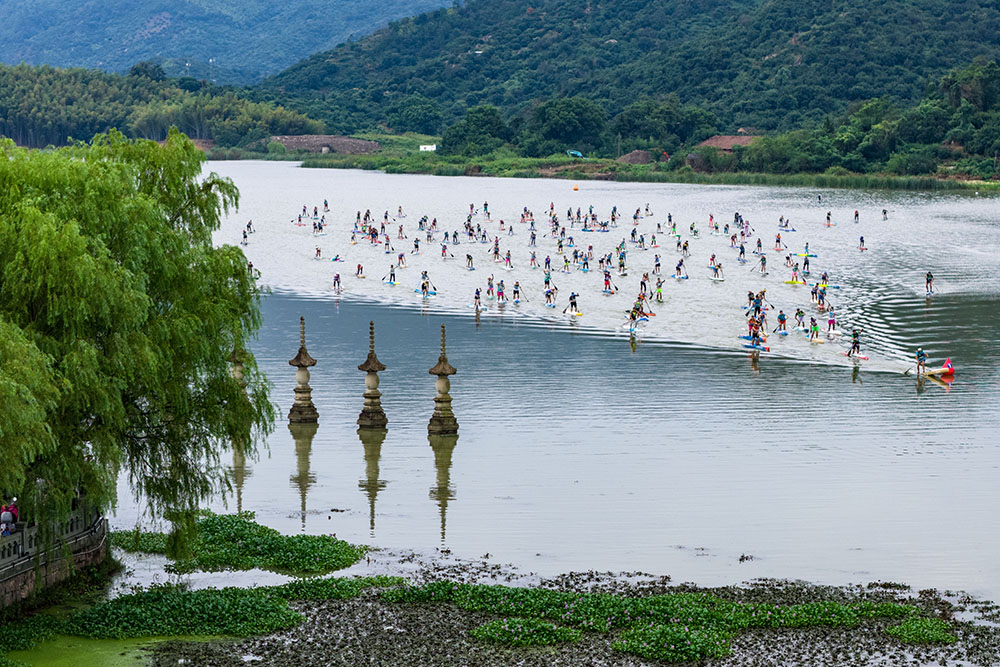 9月21日，在浙江省慈溪市觀海衛鎮，一塊塊色彩斑斕的槳板與鄉村的白墻黛瓦、遠山碧水交織成一幅動感十足的現代風景畫。人民網 章勇濤攝