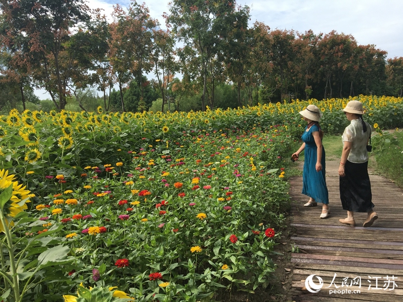 市民在南通五山國家森林公園賞花。人民網記者 俞楊攝