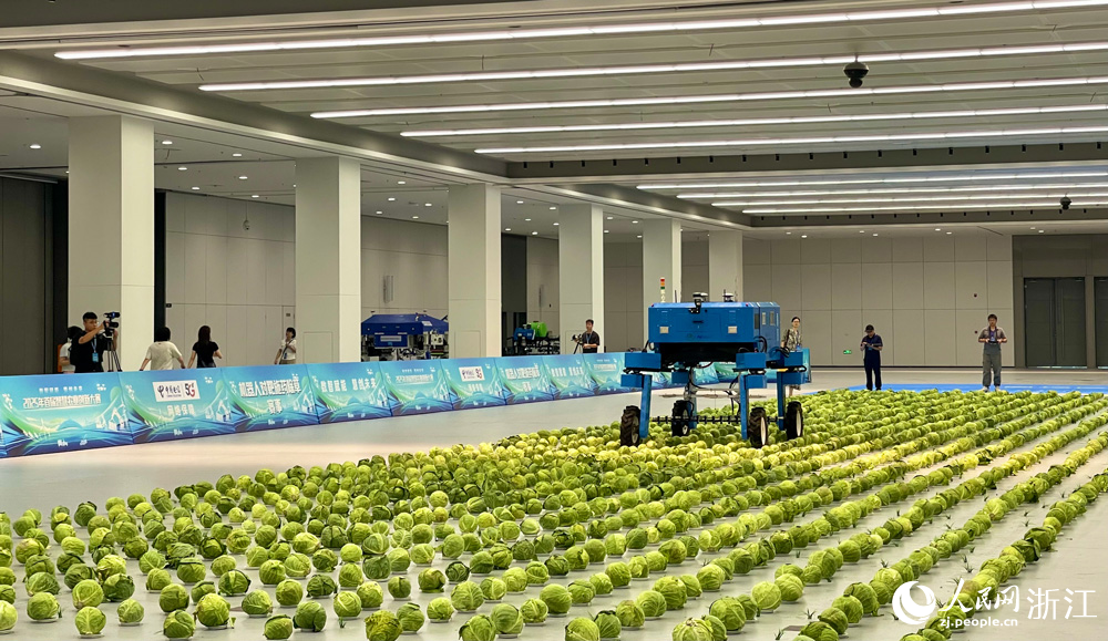 大賽現場。人民網記者 郭揚攝