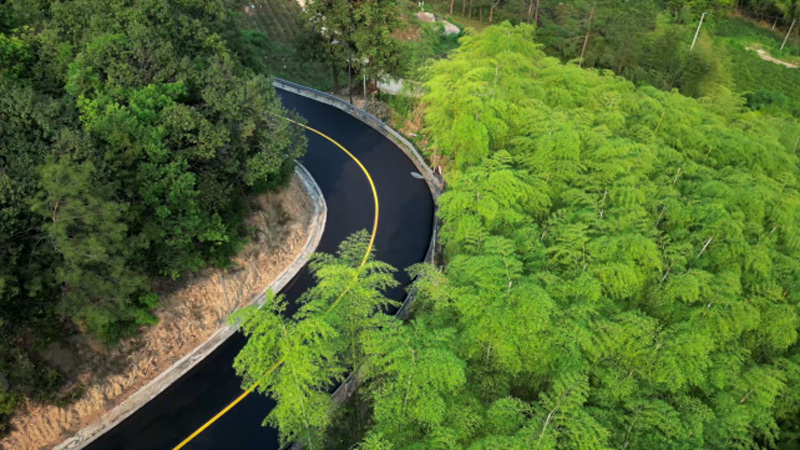 2025年5月初，雙洞線邊坡隱患整治工程順利竣工。余杭區交通運輸局供圖