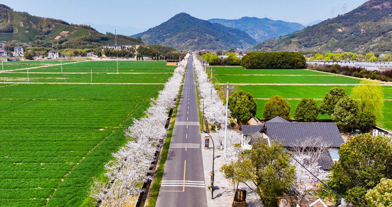 余杭漕雅線。余杭區交通運輸局供圖