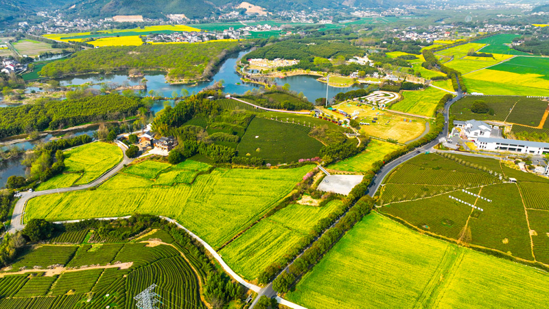 余杭區“四好農村路”。余杭區交通運輸局供圖