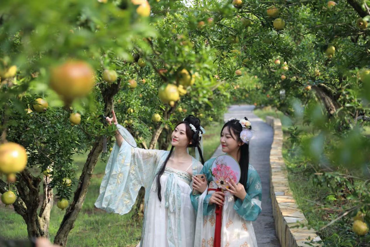 游客在明清石榴園里打卡拍照。 烈山區委宣傳部供圖