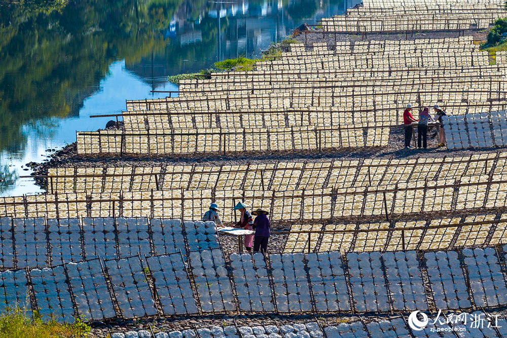 一排排榨面在陽光下舒展，與鄉村景致相映，構成一道充滿生活氣息的獨特風景線。人民網 章勇濤攝