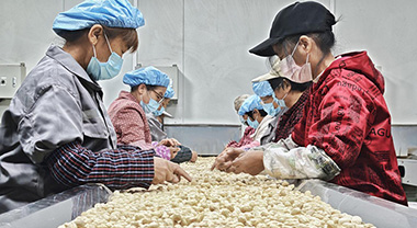 安徽向前丨強村富民 明光有“坊”