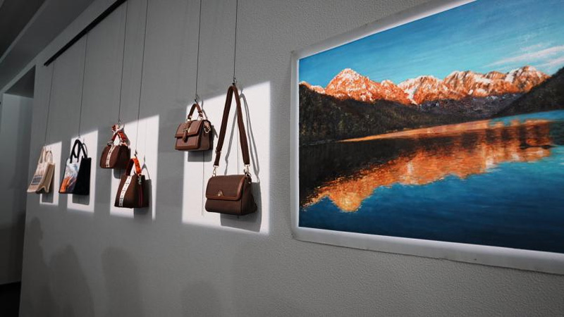 展覽現場。西湖區幫扶九龍縣工作組供圖