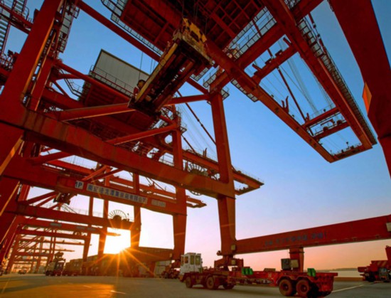 南京港內排列整齊的大型軌道吊。江蘇港口集團供圖