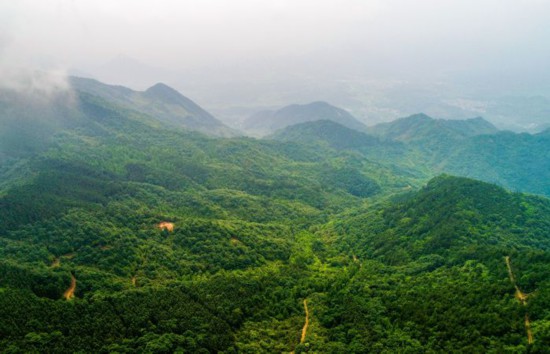 俯瞰旌德縣廟首林場。旌德縣委宣傳部供圖